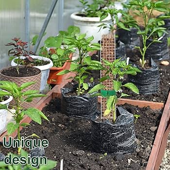 【新品未使用】MOSS STICK SW50 24-25 2 Pack 25 Inch Bendable Moss Pole for Indoor Plant Support